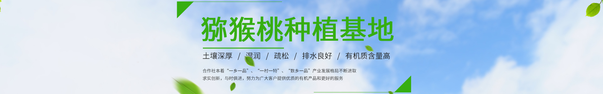湖南省绿一佳农业科技发展有限公司